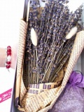 Hộp hoa Lavender - Oải Hương của Pháp kèm túi thơm 2